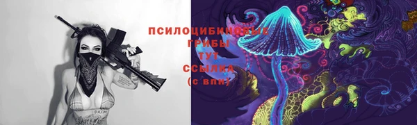 первитин Белокуриха