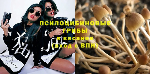 первитин Белокуриха