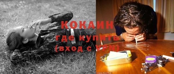 ГАЛЛЮЦИНОГЕННЫЕ ГРИБЫ Белоозёрский